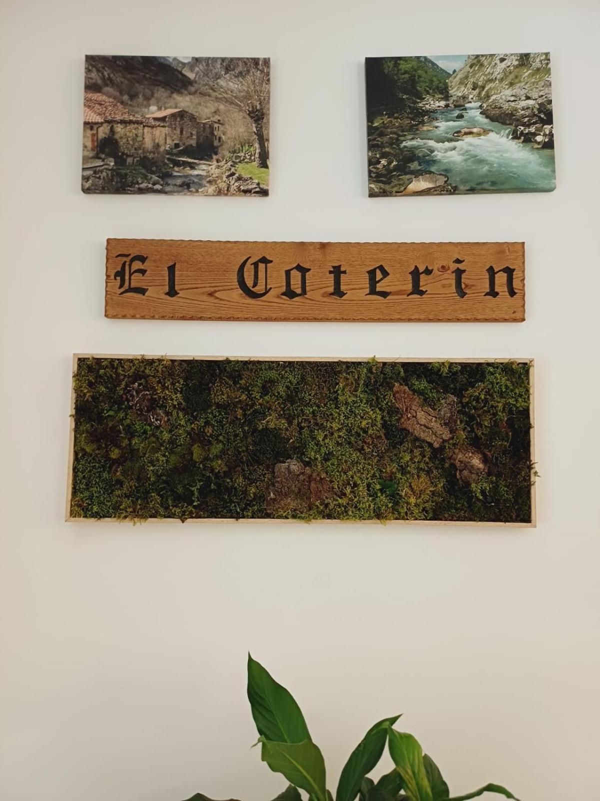 Hotel El Coterin Apartamentos Y Habitaciones Arenas De Cabrales Kültér fotó